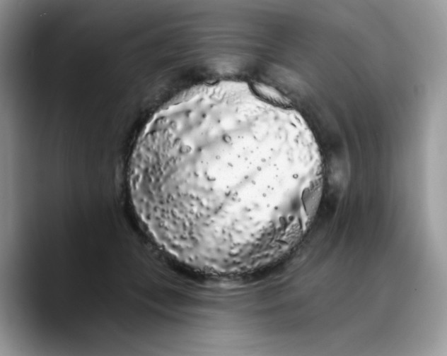 X0000089760559200707201944