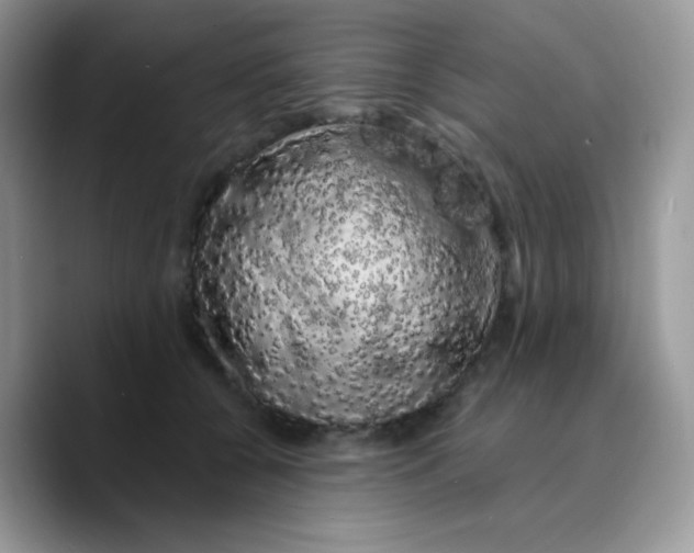 X0000089760560200707201944