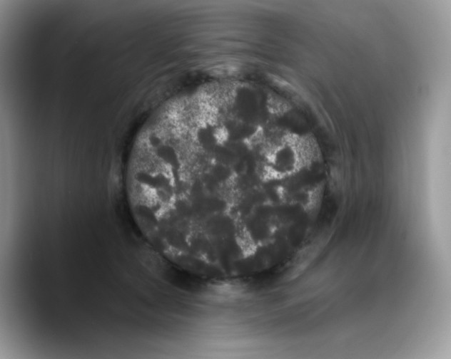 X0000089760561200707201944