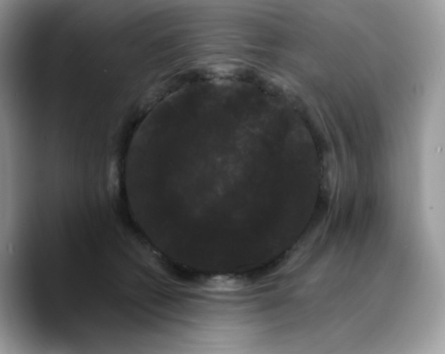 X0000089760562200707201944