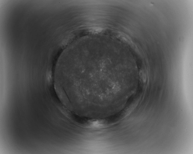 X0000089760564200707201945