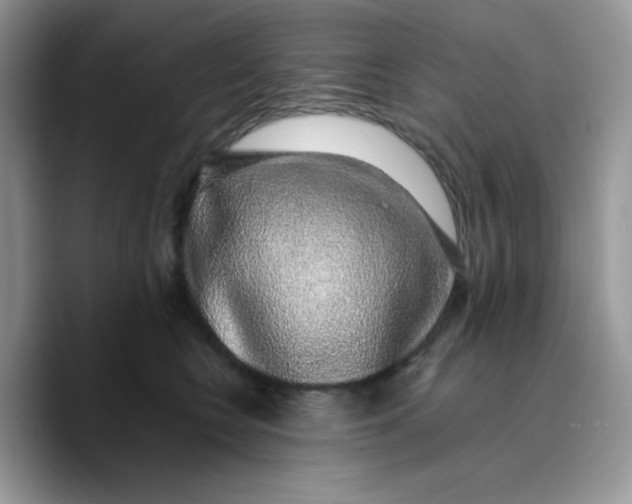 X0000089760566200707201945