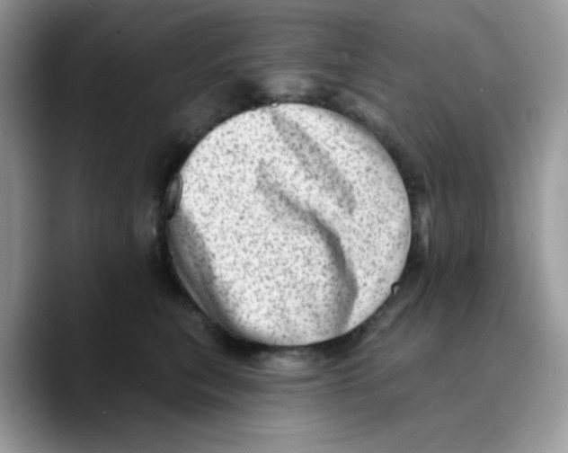 X0000089760567200707201945