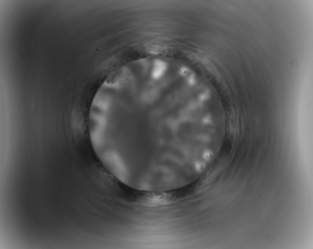 X0000089760569200707201945