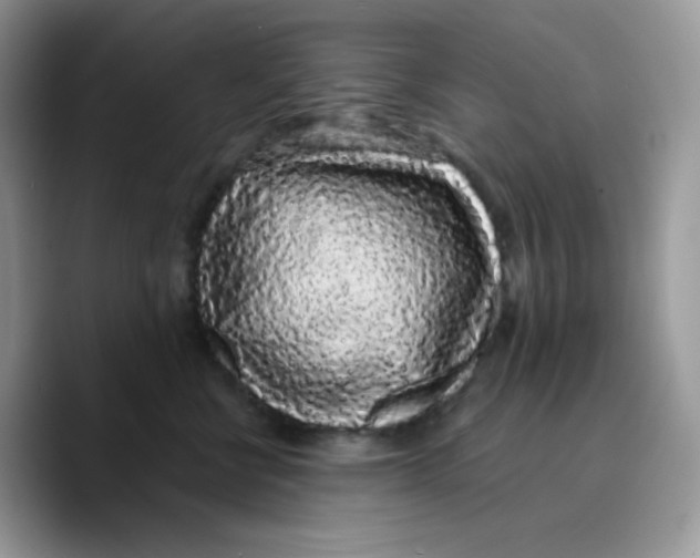 X0000089760570200707201945