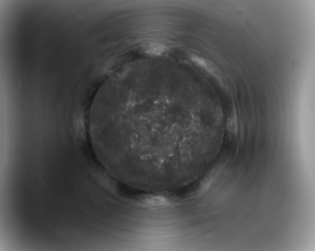 X0000089760572200707201945