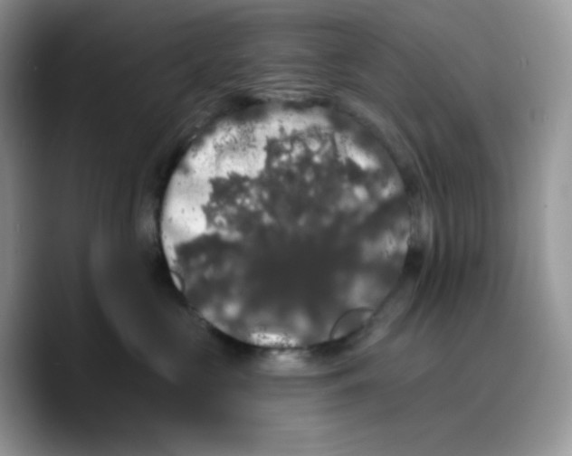 X0000089760573200707201945