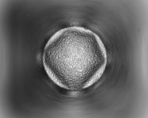 X0000089760575200707201945