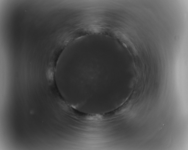 X0000089760576200707201945