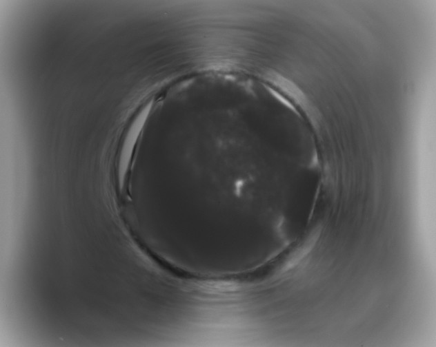 X0000089760577200707201944