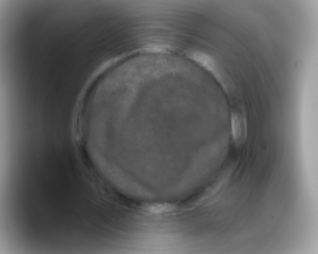 X0000089760579200707201944