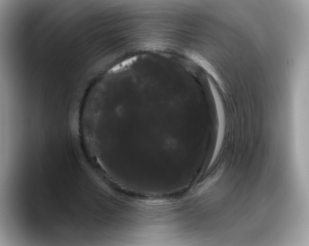 X0000089760581200707201944