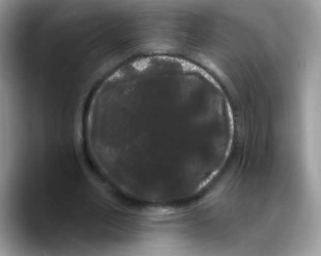 X0000089760582200707201944