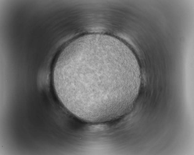 X0000089760583200707201944