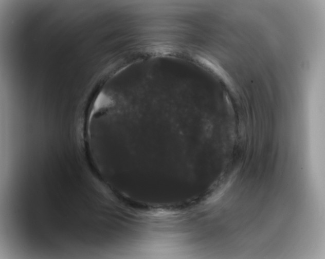 X0000089760585200707201944