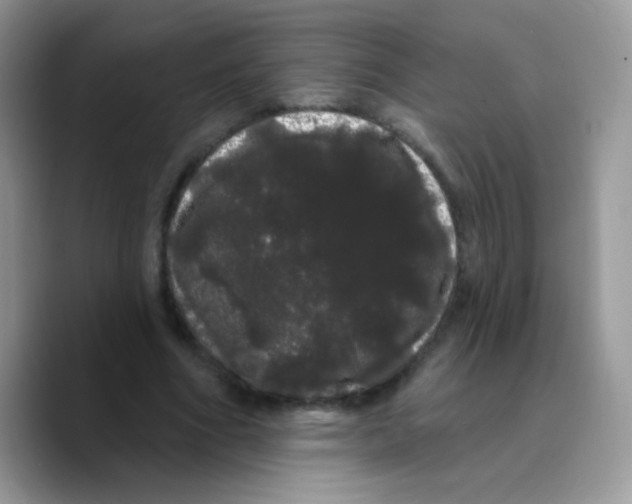 X0000089760586200707201944