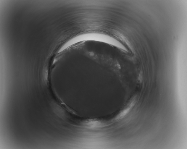 X0000089760589200707201944