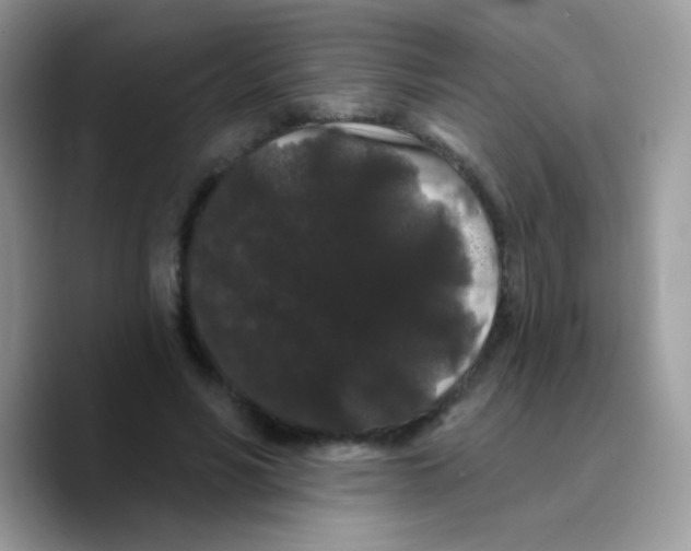 X0000089760590200707201944