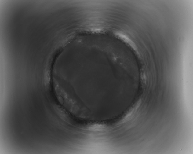 X0000089760593200707201944