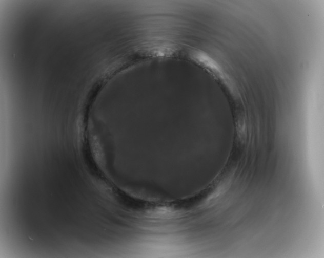 X0000089760594200707201944