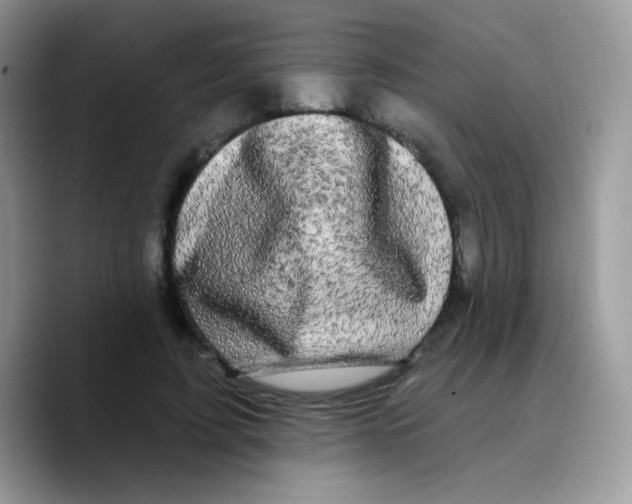 X0000089760595200707201944
