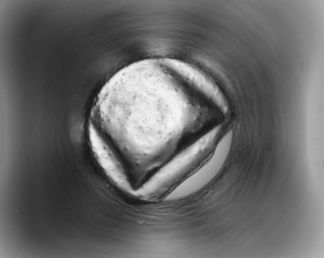X0000089760596200707201944