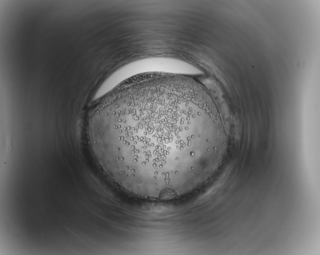 X0000089760597200707201944