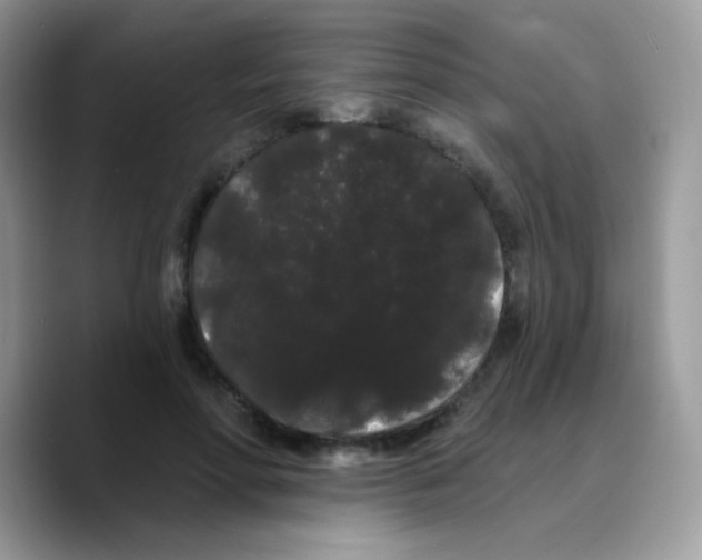 X0000089760598200707201944