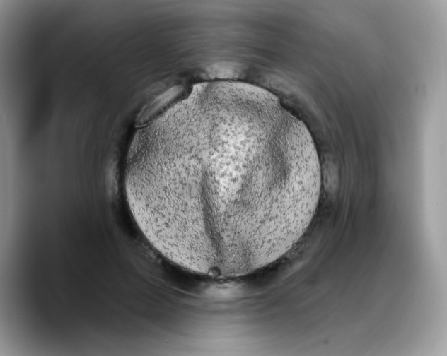 X0000089760599200707201944