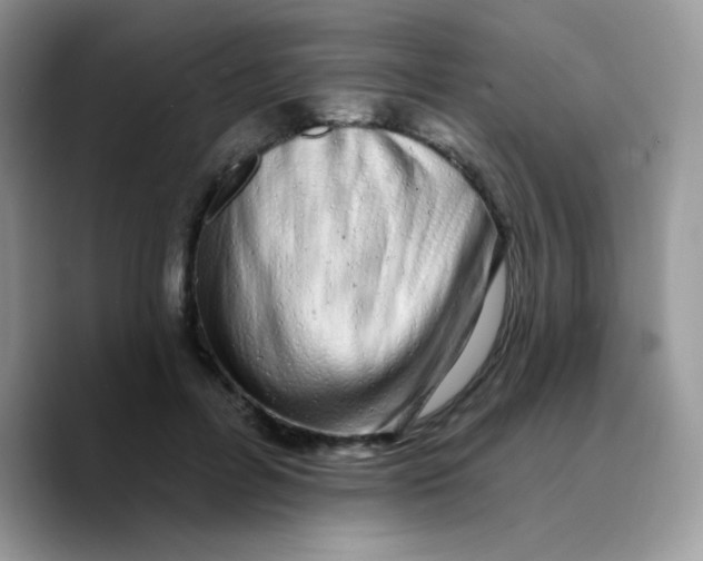 X0000089760600200707201944