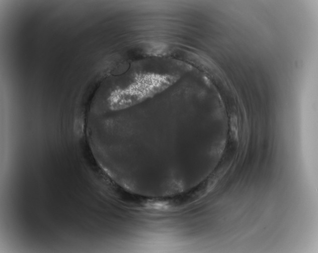 X0000089760602200707201944
