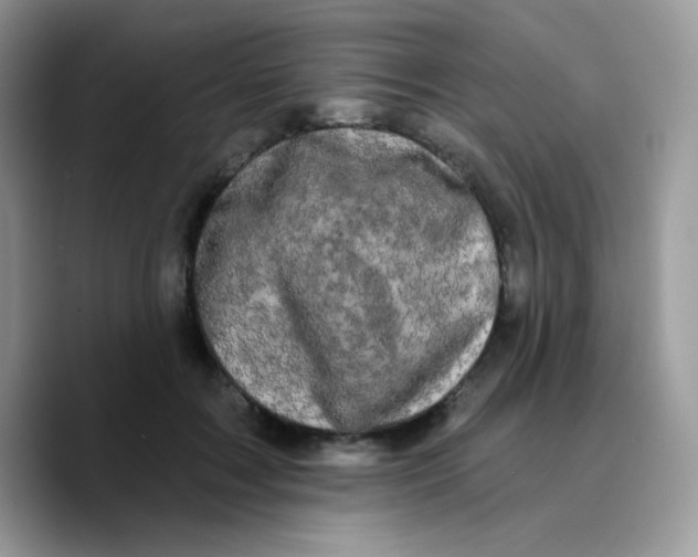 X0000089760603200707201944