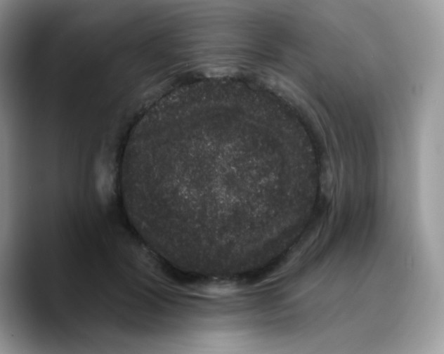 X0000089760604200707201944
