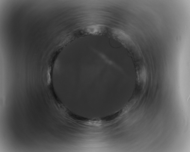 X0000089760606200707201944