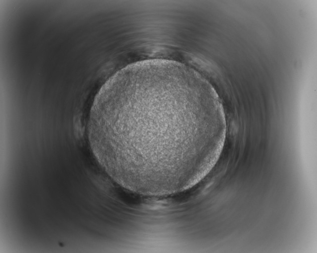 X0000089760607200707201944