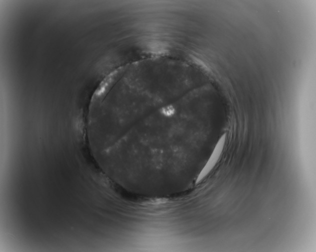 X0000089760609200707201944