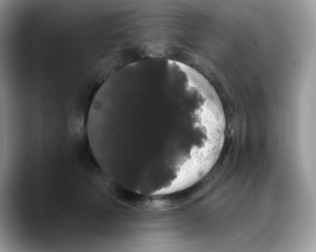 X0000089760610200707201944
