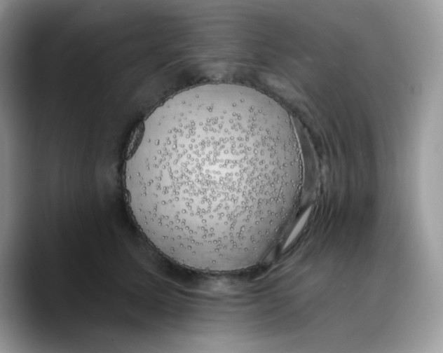 X0000089760611200707201944