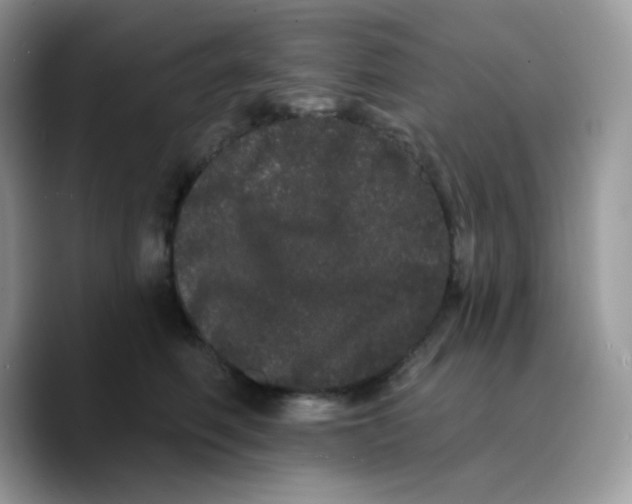 X0000089760614200707201944