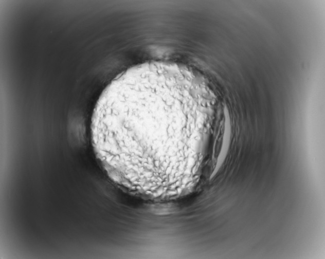X0000089760615200707201944