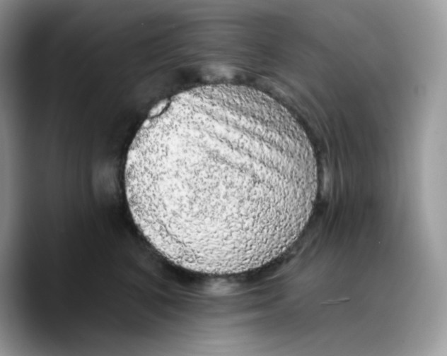 X0000089760616200707201944