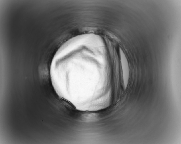 X0000089760617200707201944