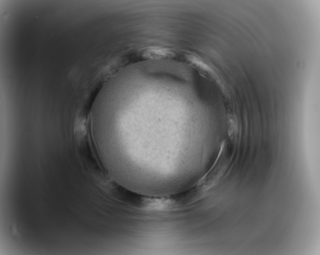X0000089760621200707201943