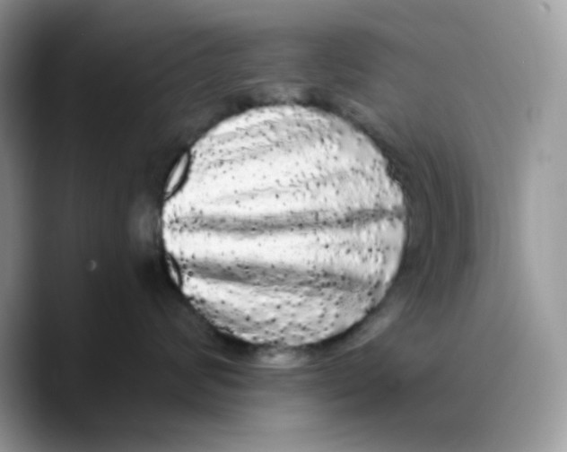 X0000089760624200707201943
