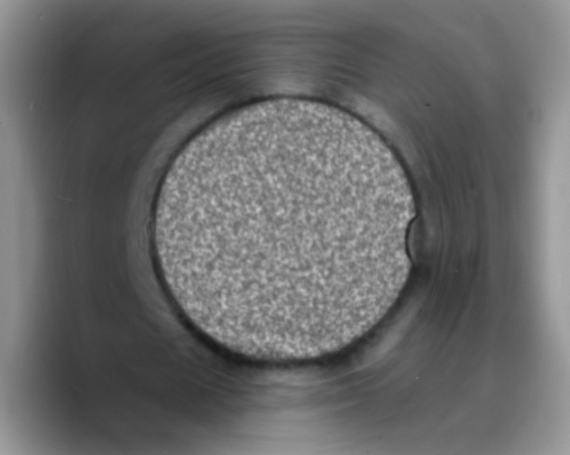 X0000089760625200707201943