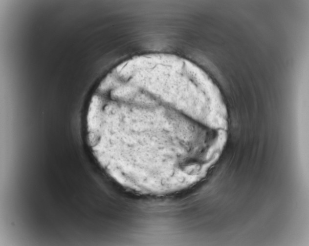 X0000089760626200707201943