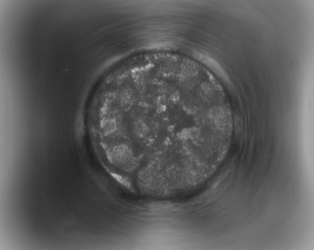 X0000089760628200707201943