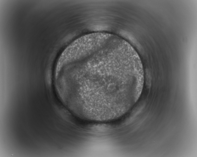 X0000089760631200707201943