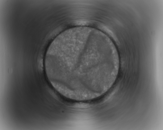 X0000089760633200707201943