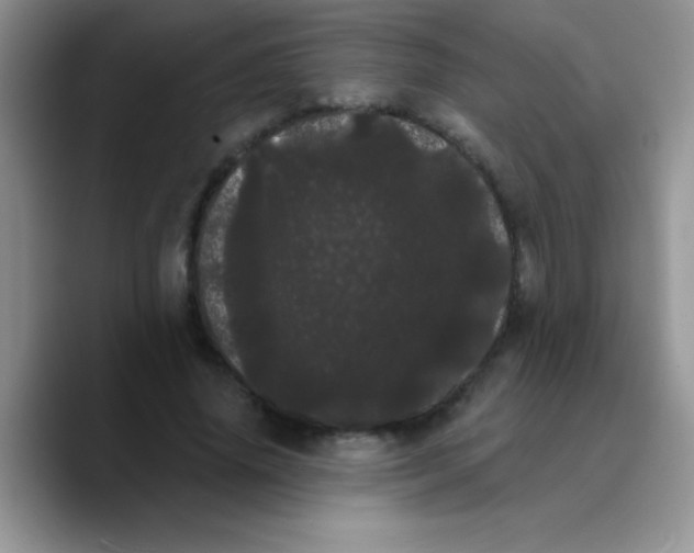 X0000089760636200707201943